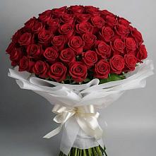 Букет 101 Красная роза Блэк Мэджик в Магдагачах