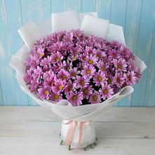 Букет цветов из:  Хризантемы в Магдагачах