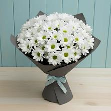 Букет цветов из:  Хризантемы в Магдагачах