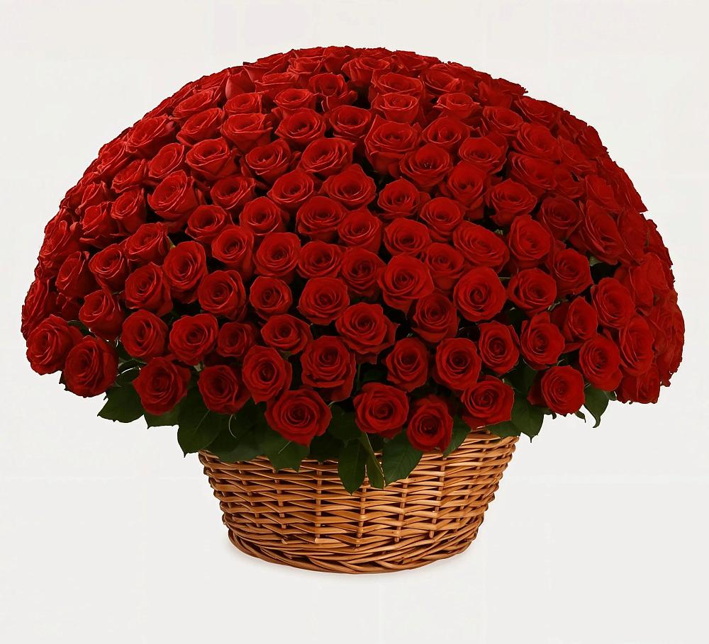 Премиум букет из: Розы в Магдагачах