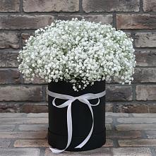 Цветочная композиция из Гипсофила в шляпной коробке в Магдагачах